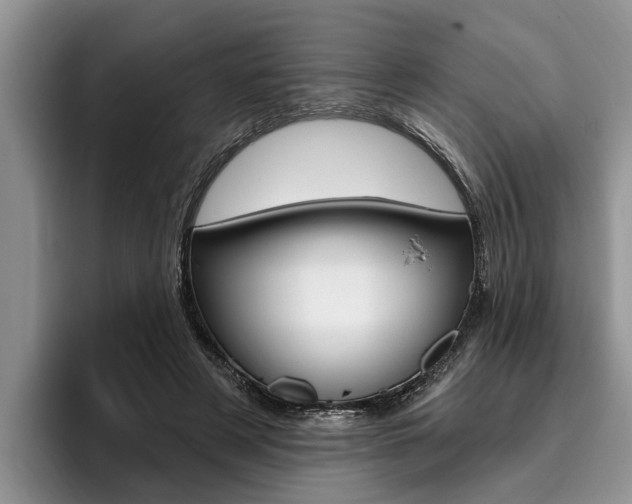 X0000096170497200801180833