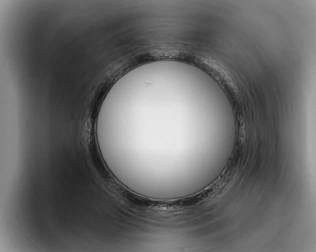 X0000096170498200801180833
