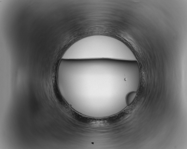 X0000096170499200801180833