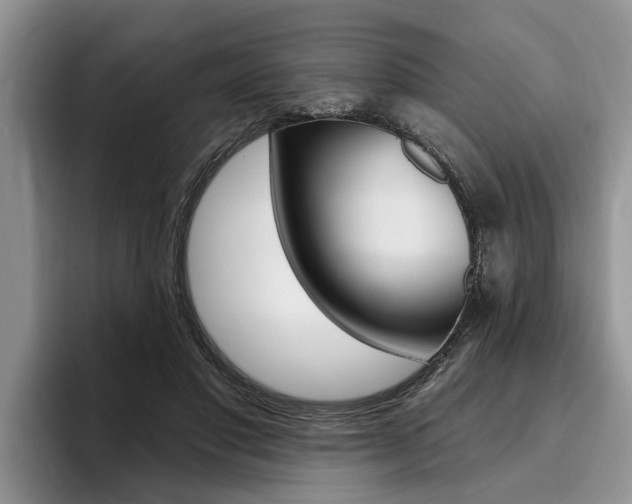 X0000096170501200801180833