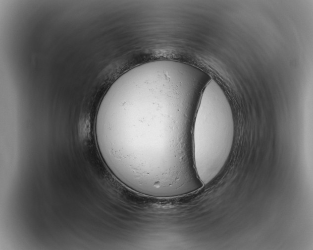 X0000096170502200801180833