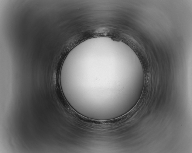 X0000096170504200801180833