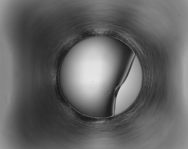 X0000096170505200801180833