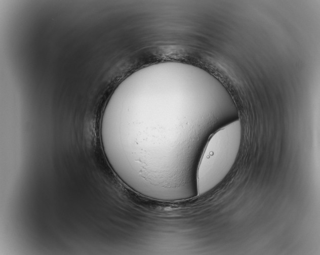 X0000096170506200801180833