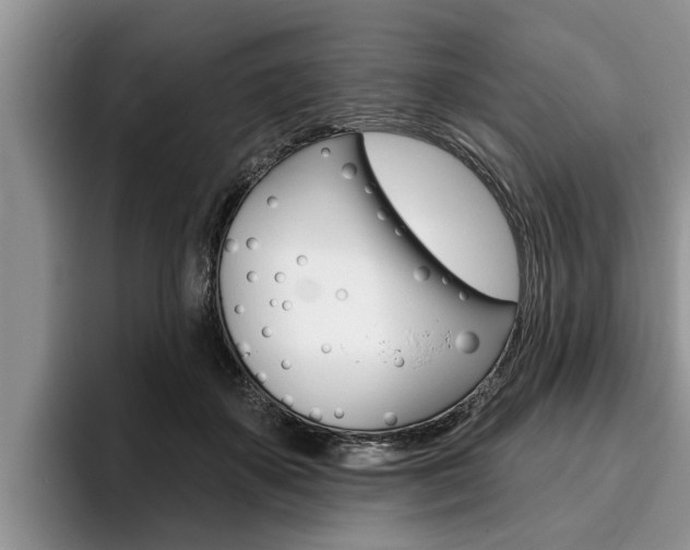 X0000096170507200801180833