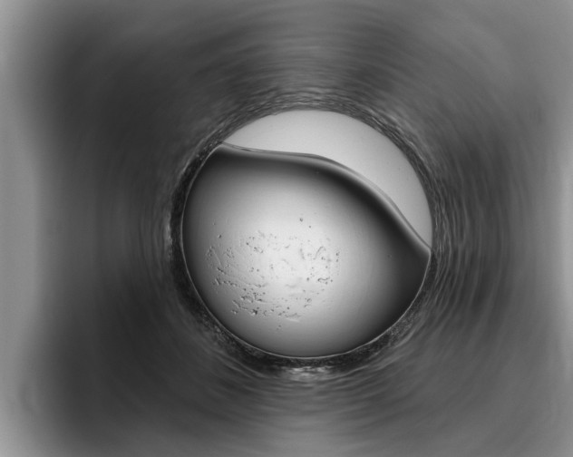 X0000096170508200801180833