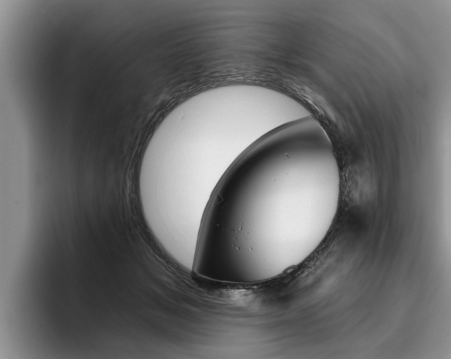 X0000096170509200801180833