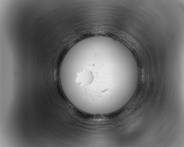 X0000096170514200801180833