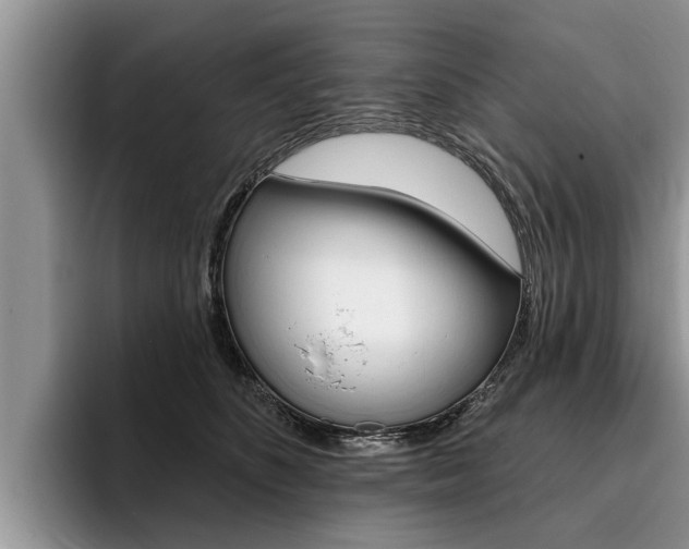 X0000096170516200801180833