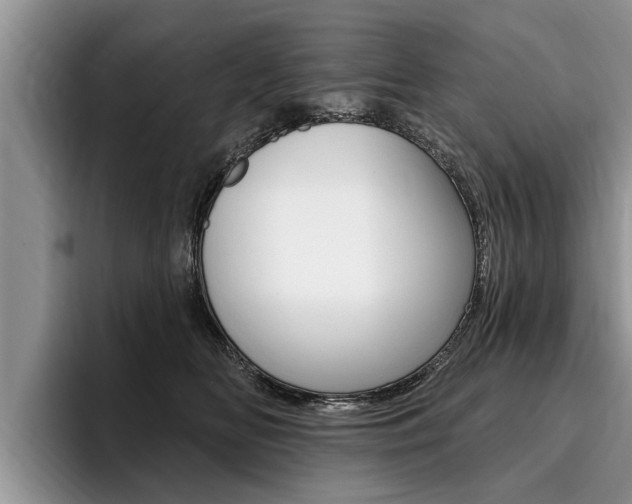 X0000096170518200801180833