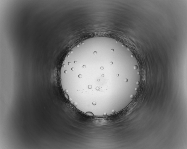X0000096170519200801180833