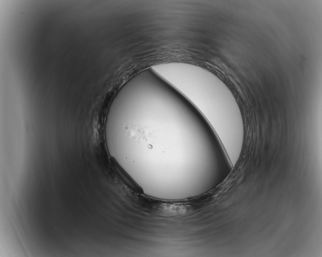 X0000096170520200801180833