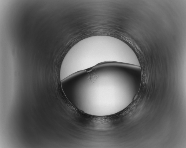 X0000096170521200801180833