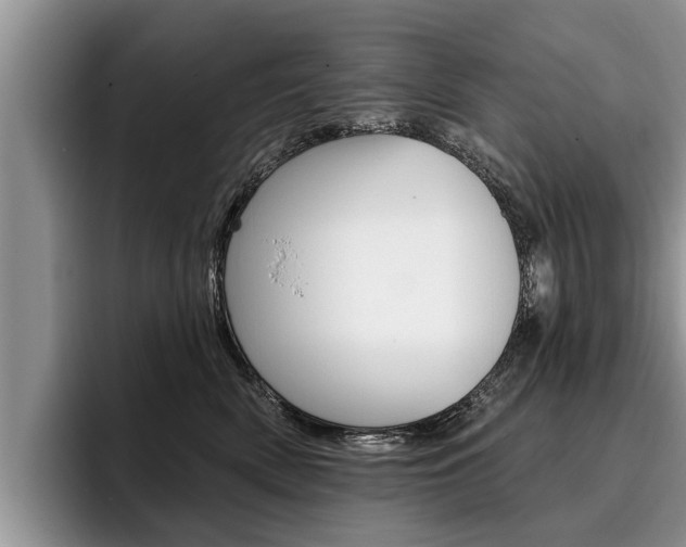 X0000096170522200801180832