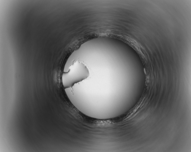 X0000096170525200801180832