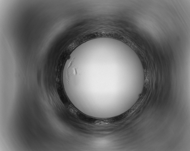 X0000096170526200801180832