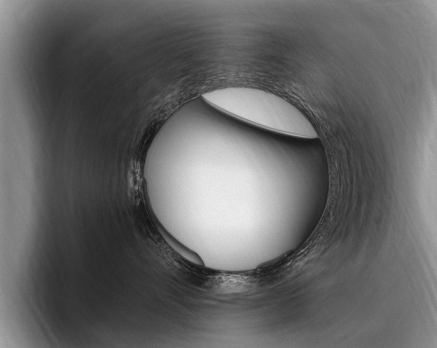 X0000096170528200801180832