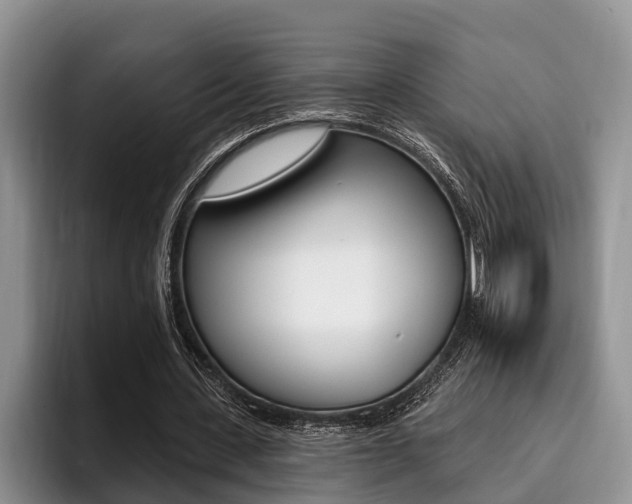 X0000096170531200801180832