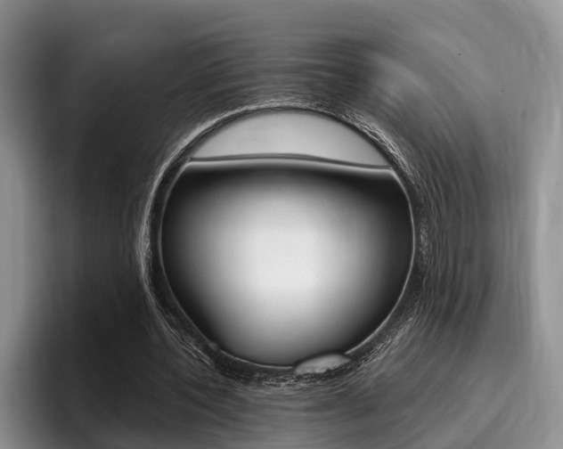 X0000096170532200801180832