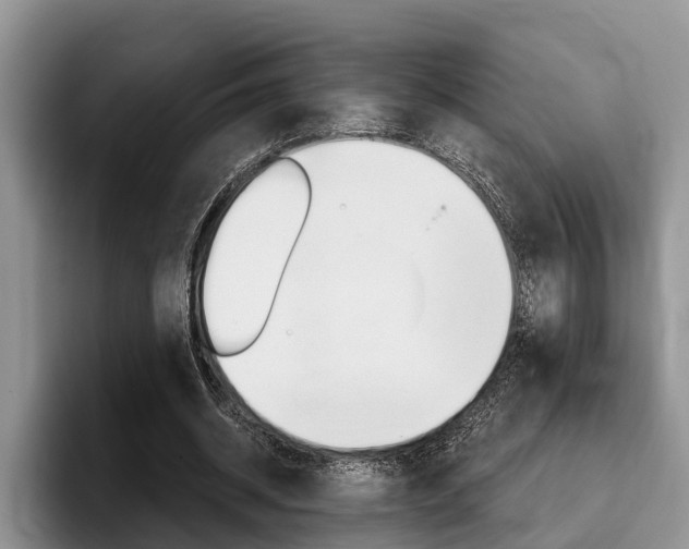 X0000096170534200801180832