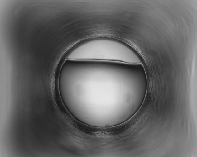 X0000096170535200801180832