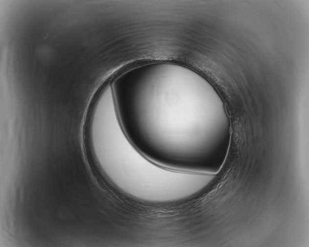 X0000096170536200801180832