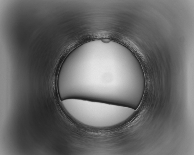X0000096170537200801180832