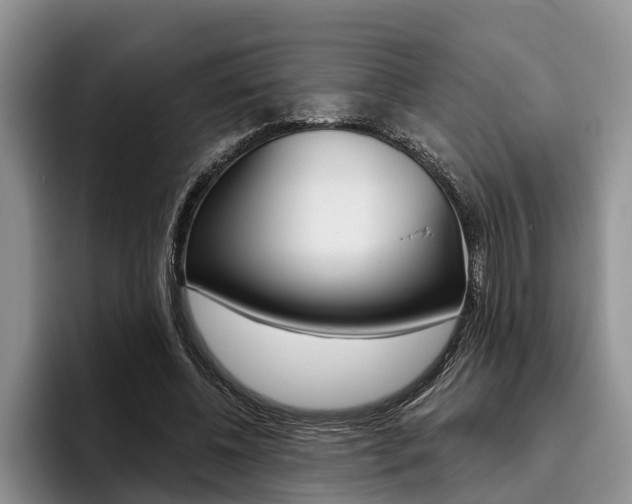 X0000096170540200801180832