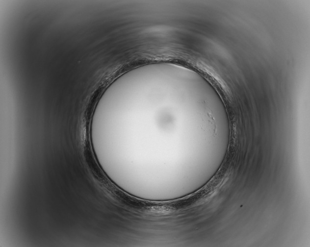 X0000096170541200801180832