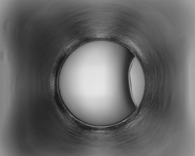 X0000096170542200801180832