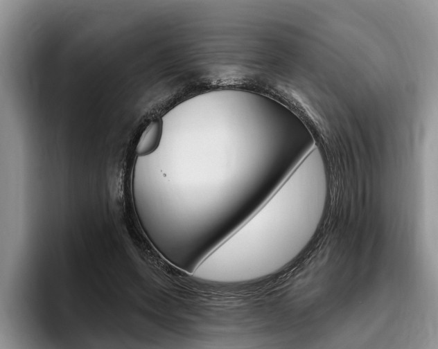 X0000096170543200801180832