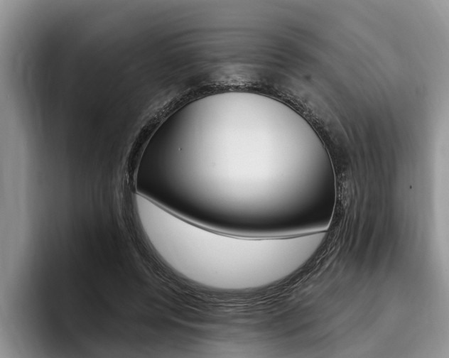 X0000096170544200801180832