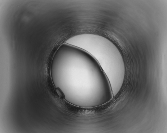 X0000096170546200801180832