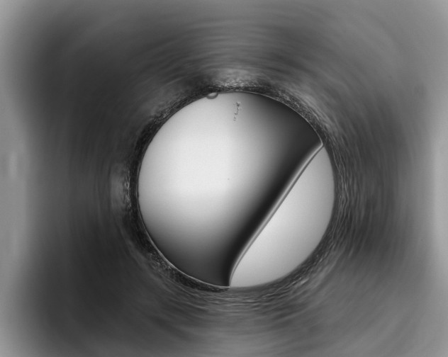 X0000096170547200801180832