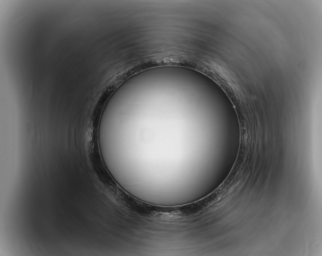 X0000096170548200801180832