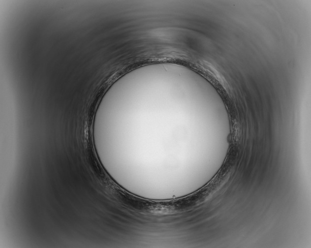 X0000096170549200801180832