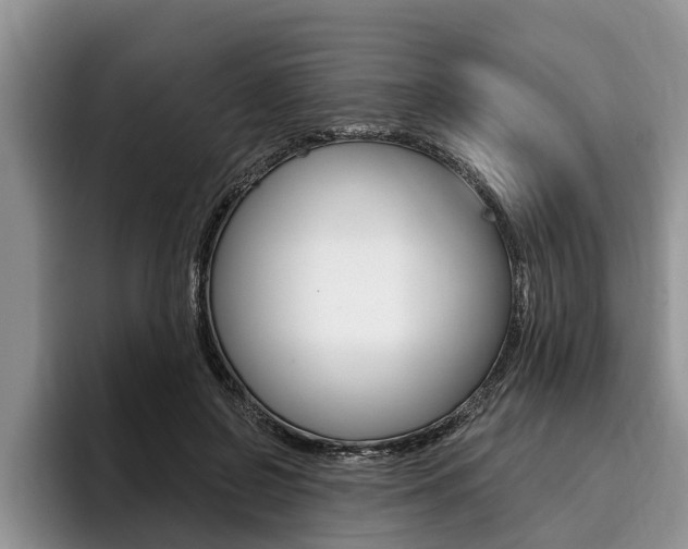 X0000096170550200801180832