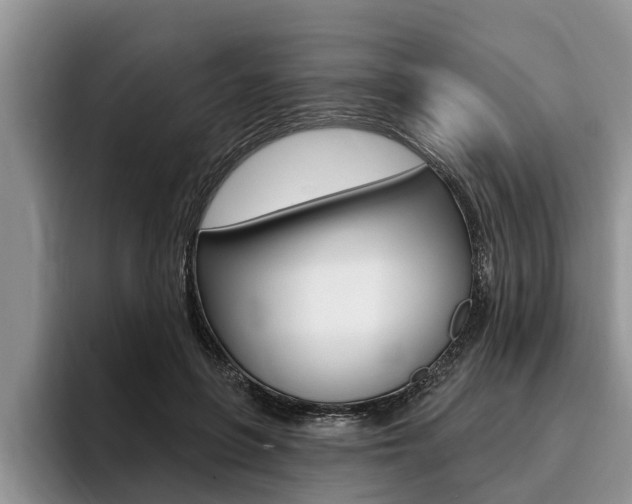 X0000096170551200801180832