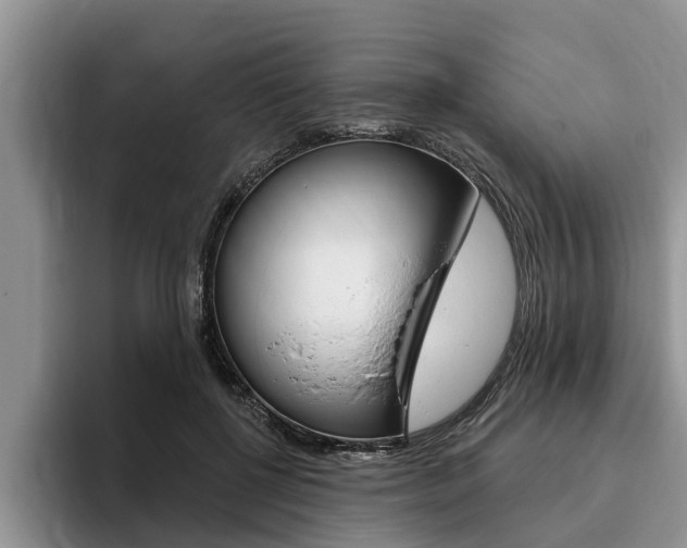 X0000096170552200801180832