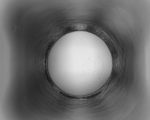 X0000096170553200801180832