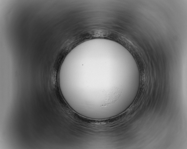 X0000096170554200801180832
