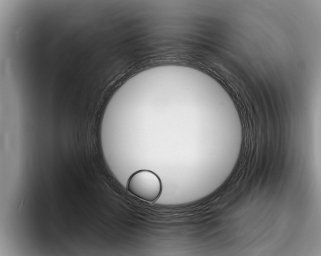 X0000096170556200801180832