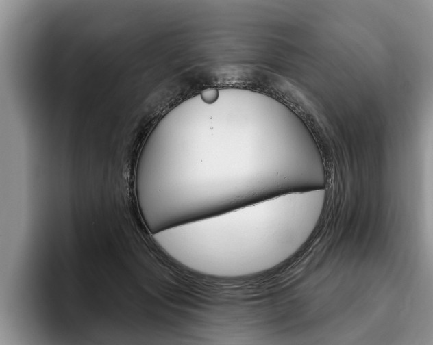 X0000096170557200801180832