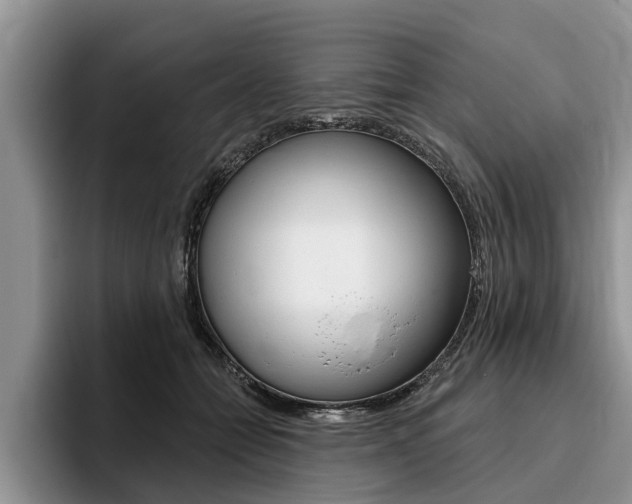 X0000096170558200801180832