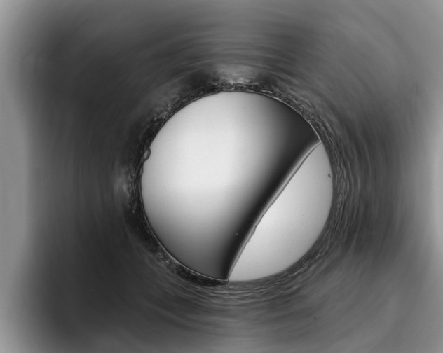 X0000096170559200801180832