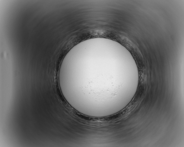 X0000096170561200801180832