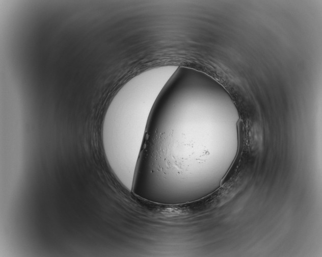 X0000096170562200801180832