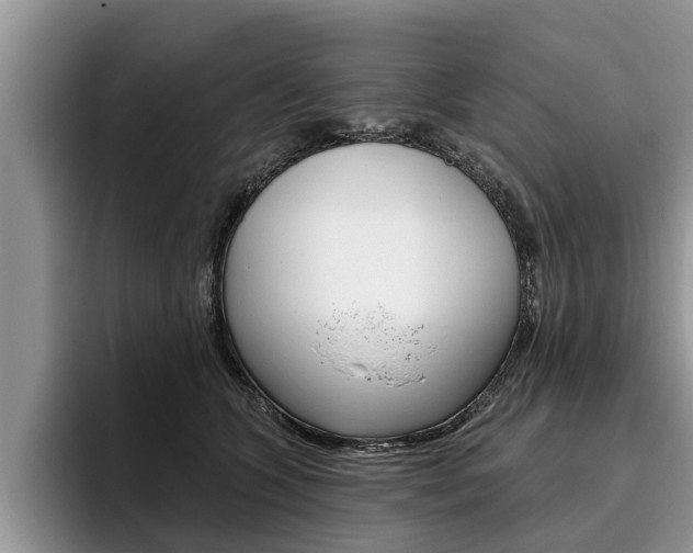 X0000096170563200801180832