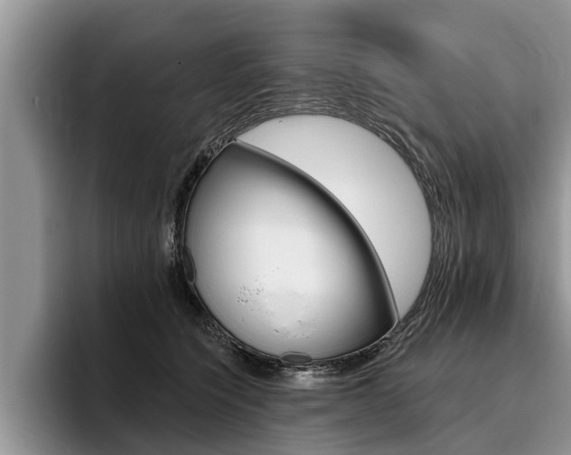 X0000096170564200801180832