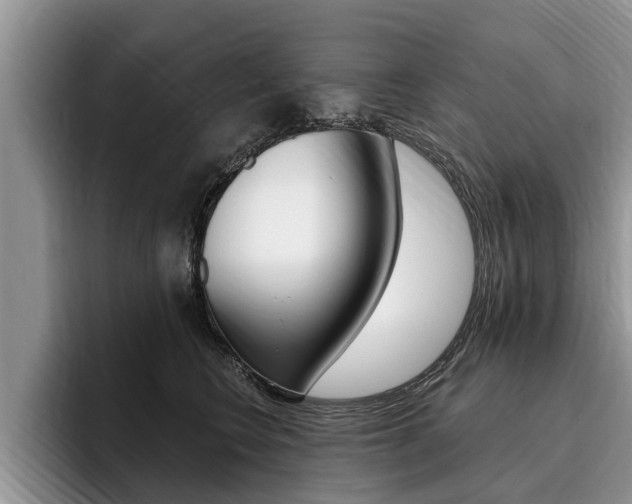 X0000096170566200801180832